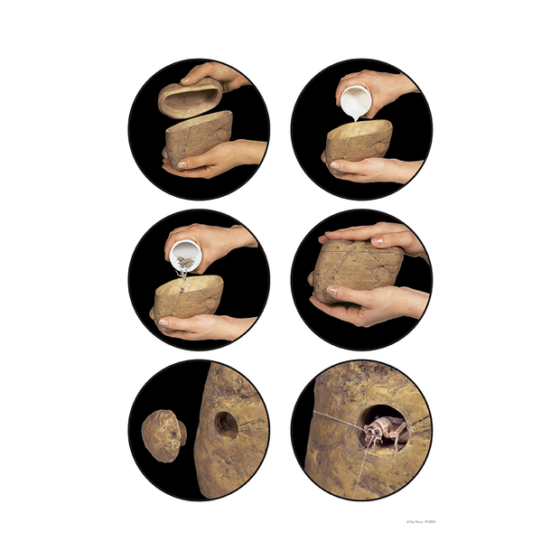 EXO TERRA CRICKEXO TERRA FEEDER