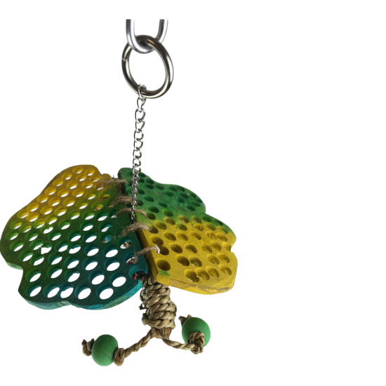 NINO'S JAVA BUTTERFLY