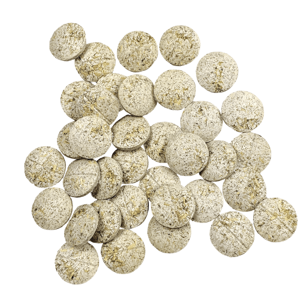 OXBOW NATURAL SCIENCE PAPAYA SUPPORT 33G