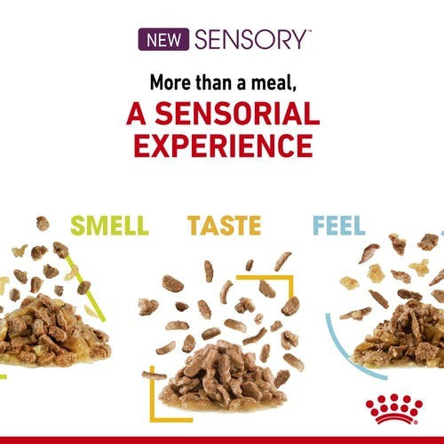 Pack of ROYAL CANIN CAT SENSORY FEEL JELLY 85G X 12