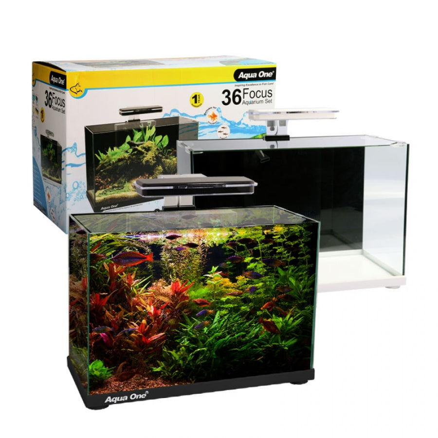 AQUA ONE FOCUS 36 AQUARIUM BLACK