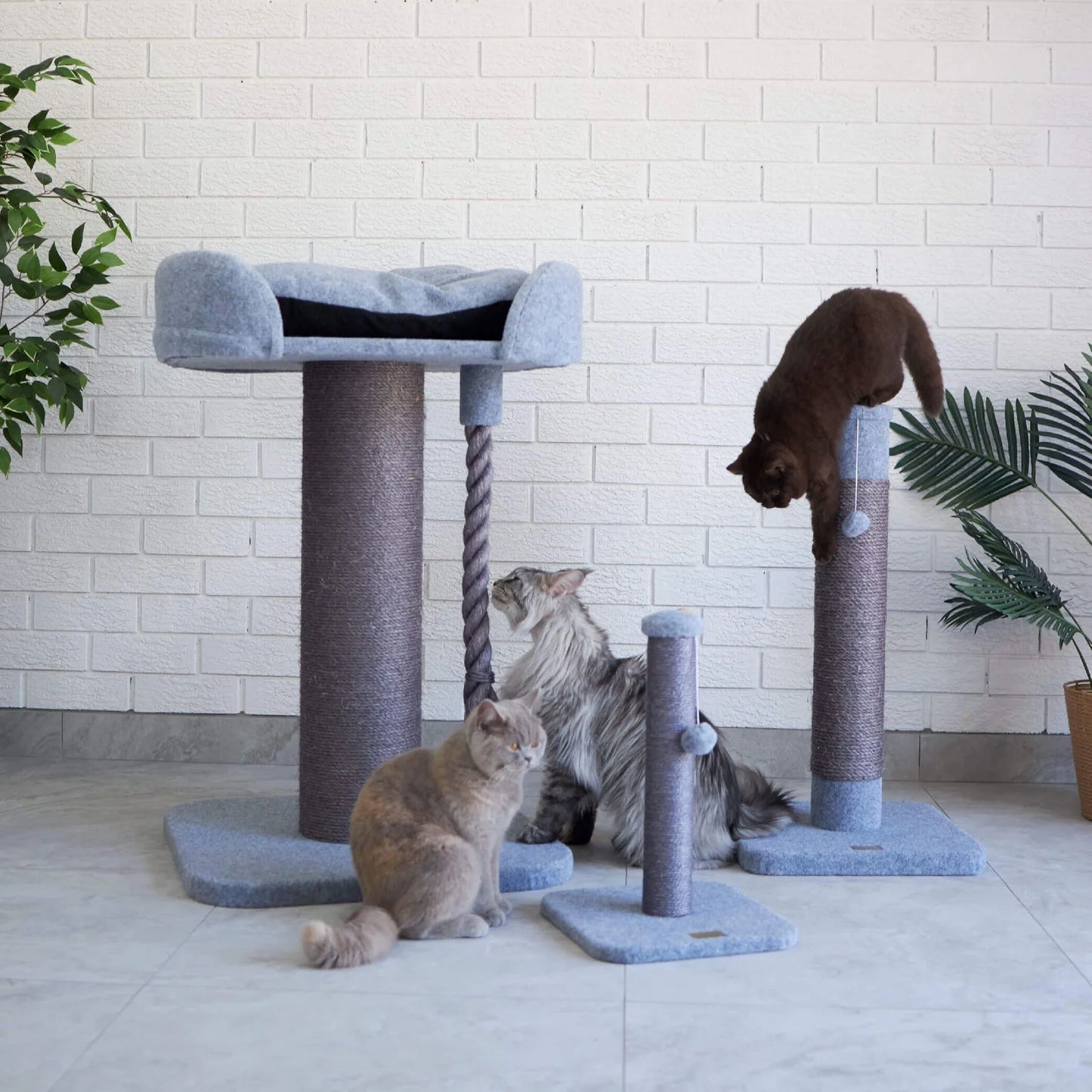 KAZOO CAT SCRATCHER CARPET KITTY SCRATCH & SLEEP ASH
