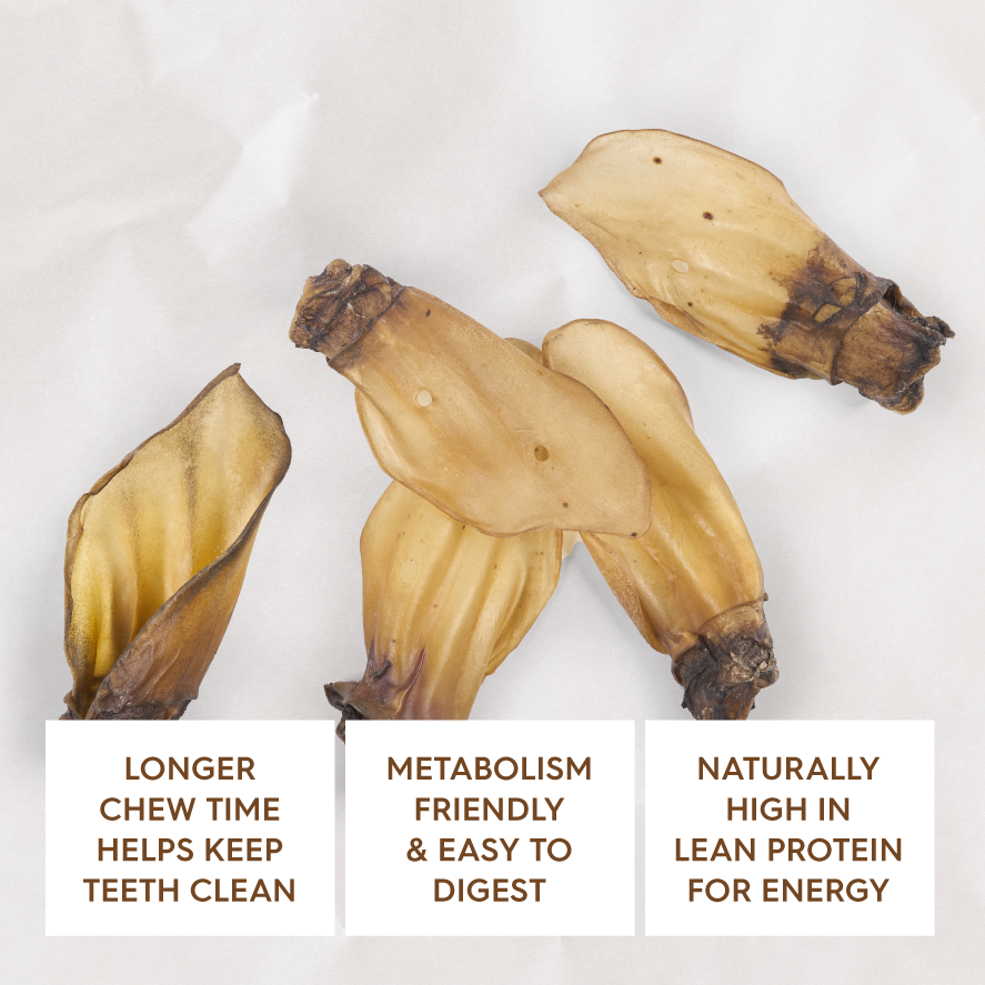 KAZOO PRIME CUTS COW EARS 100G 4PK