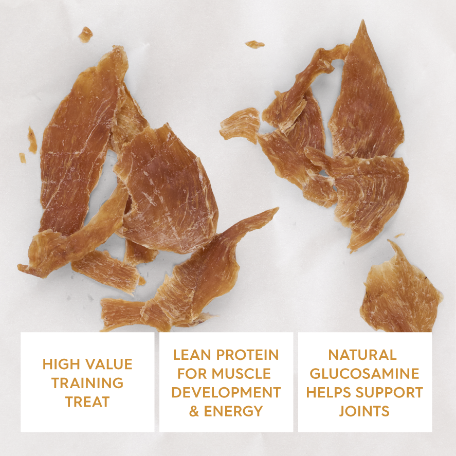 KAZOO PRIME CUTS CHICKEN BREAST 300G