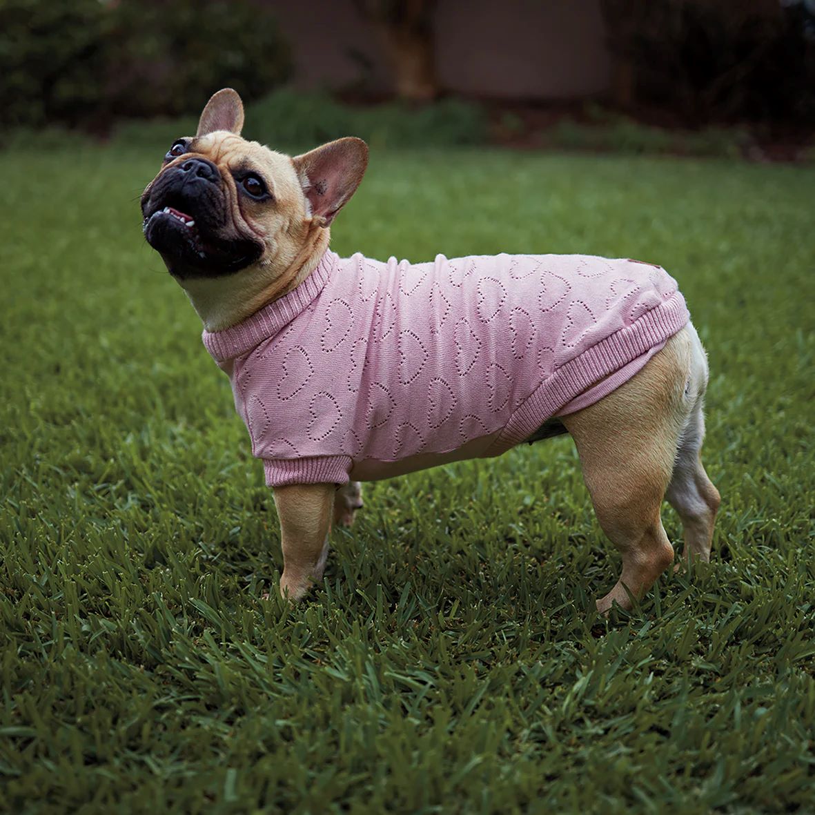 KAZOO COAT KNIT HEART 53CM PINK