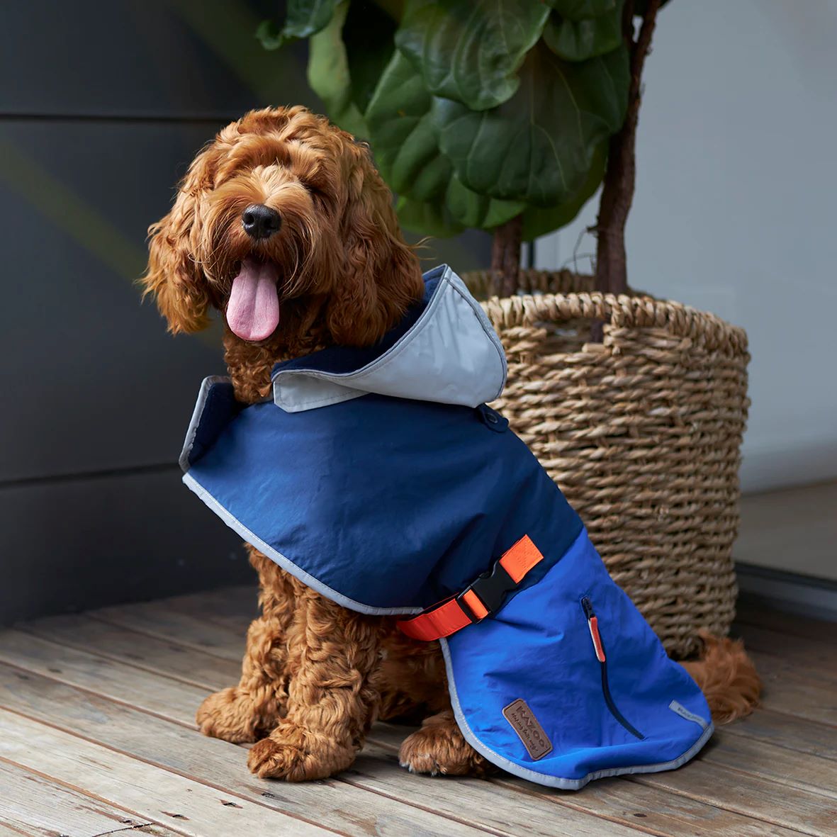 KAZOO COAT COSY RAINCOAT BLUE ZEST 46