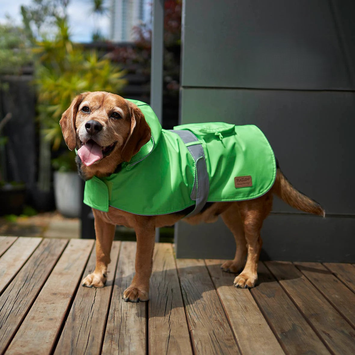 KAZOO COAT RAINY DAYS NEON GREEN 27