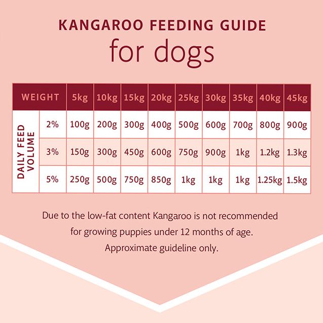 RAW 4 PAWS KANGAROO 8X200G PORTIONS 1.6KG