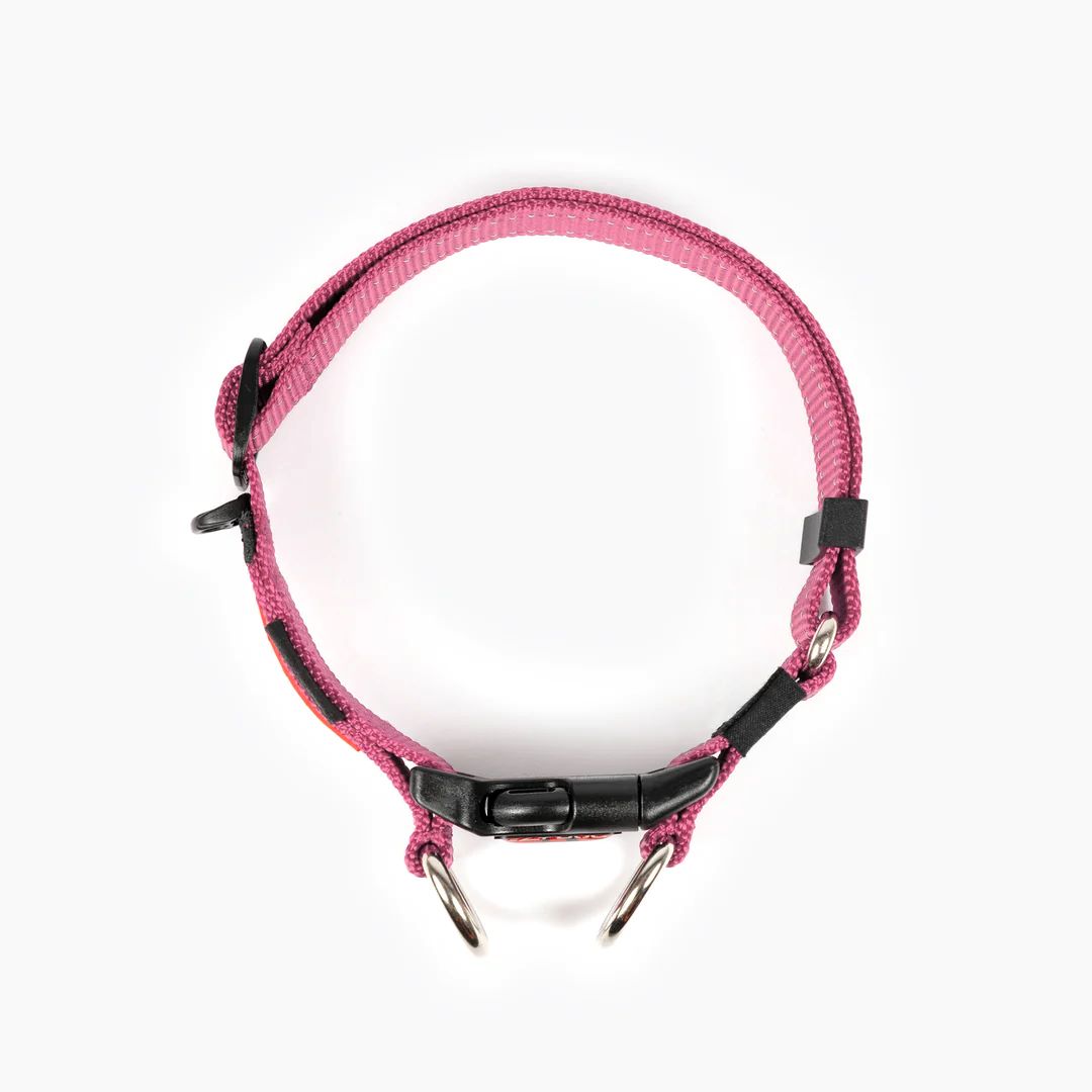 EZYDOG COLLAR DOUBLE UP S PINK