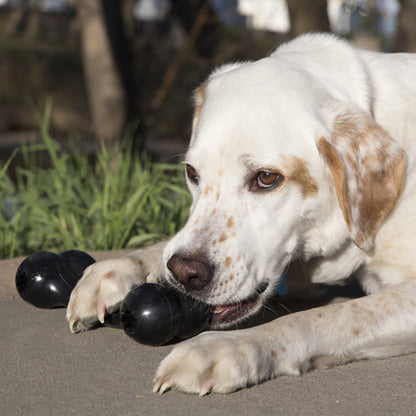 KONG PUP GOODIE BONE WROPE XS
