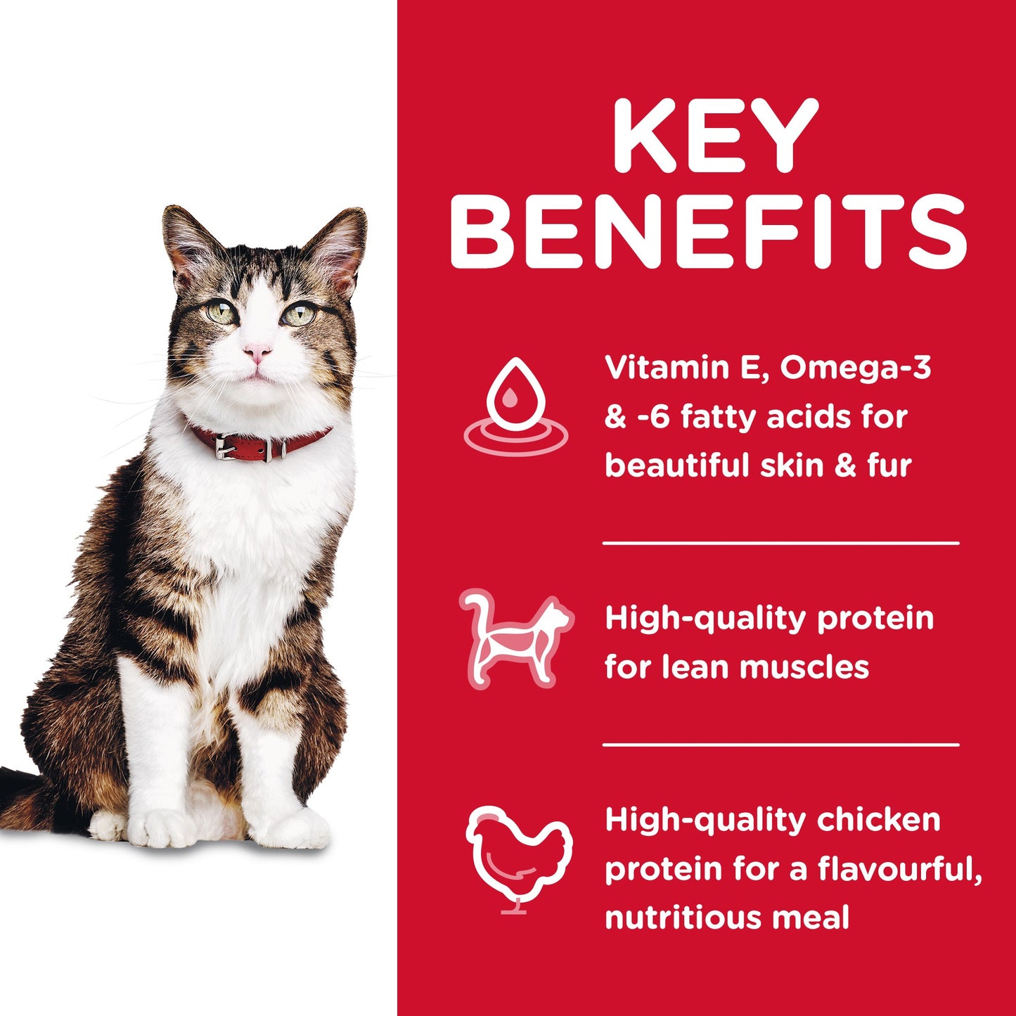 HILL'S SCIENCE DIET HAIRBALL CONTROL ADULT DRY CAT FOOD 4KG