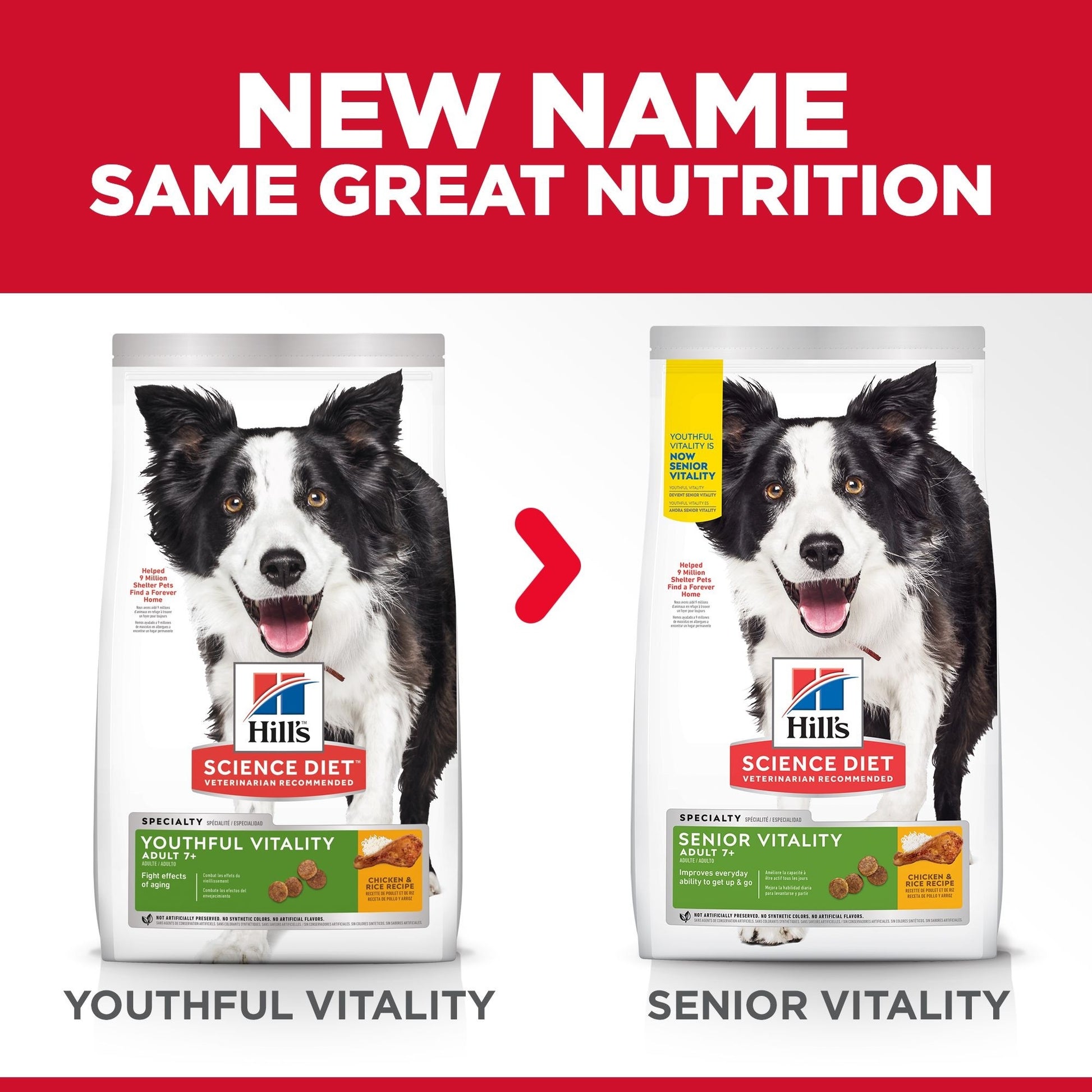 HILL'S SCIENCE DIET ADULT 7+ SENIOR VITALITY DRY DOG FOOD 1.58KG