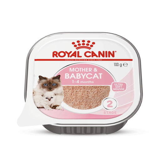 Pack of ROYAL CANIN CAT MOTHER & BABYCAT 100G X 24