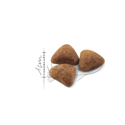 ROYAL CANIN CAT INDOOR 2KG
