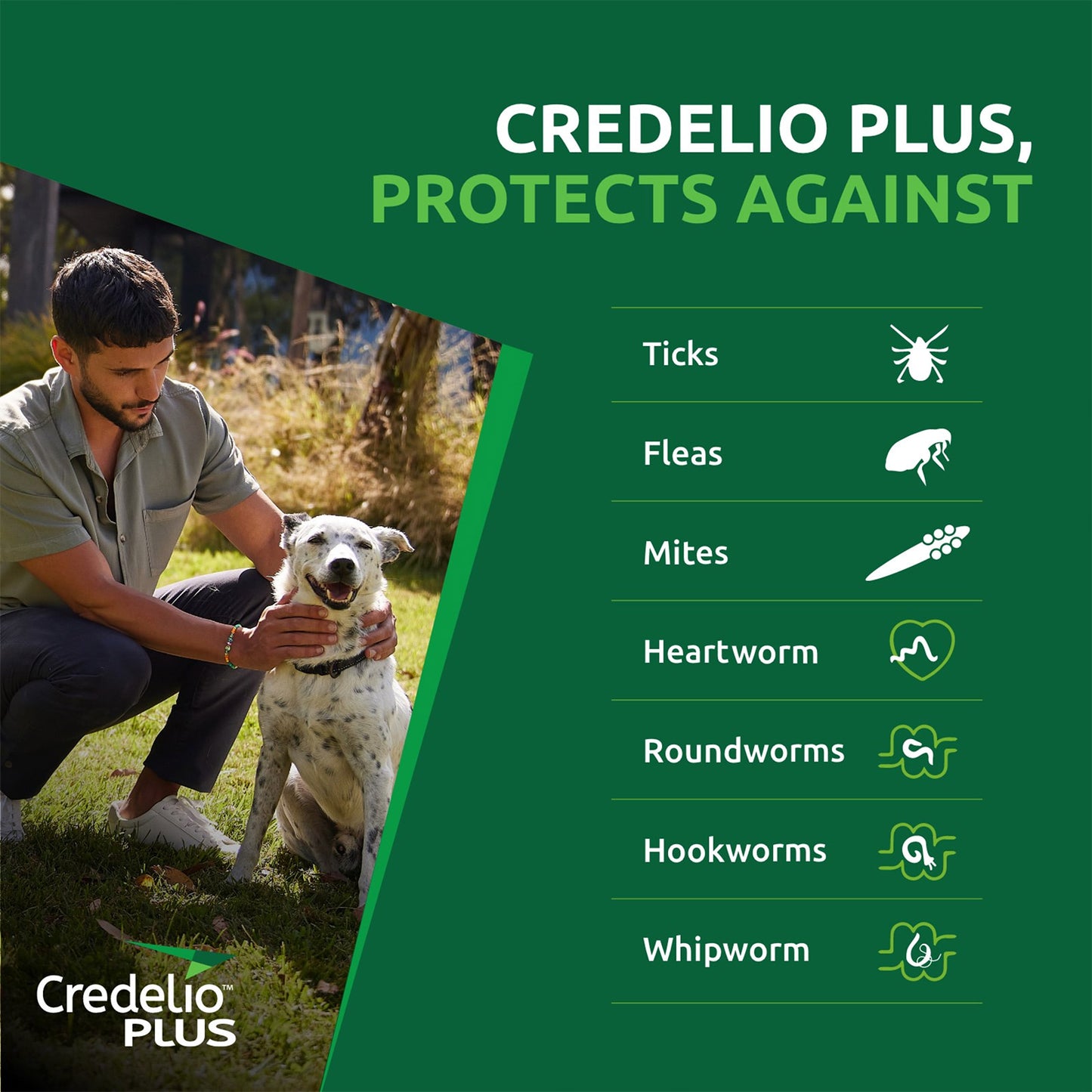 CREDELIO PLUS SMALL PINK 6'S