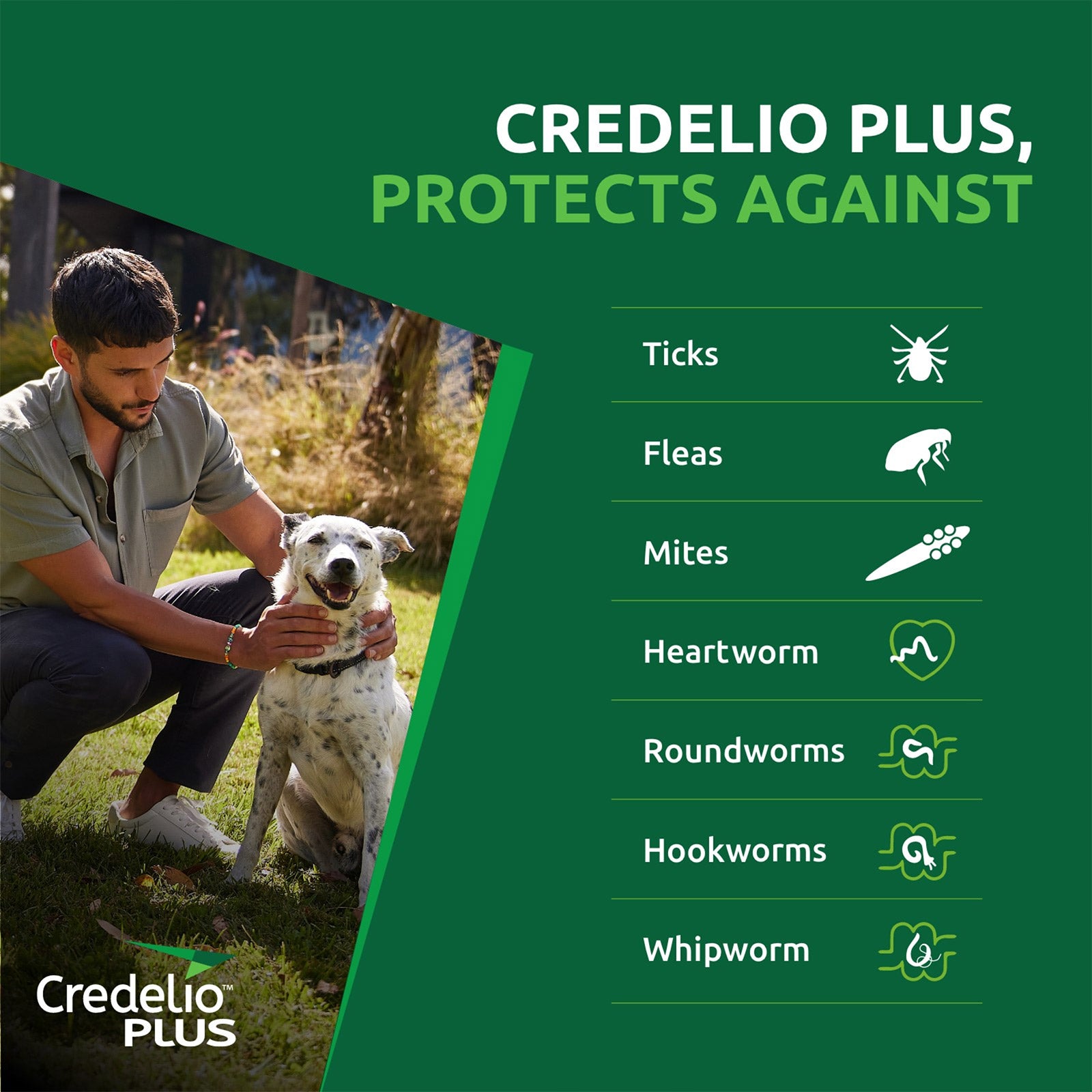 CREDELIO PLUS SMALL PINK 6'S