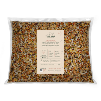 FORAGE ECLECTUS 5KG