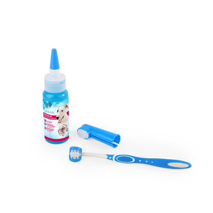 AFP SPARKLE COMBO TOOTHPASTE KIT