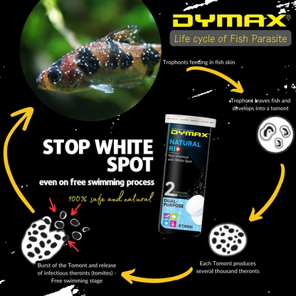 DYMAX NATURAL RID WHITE SPPOT REMEDY BOX 8 TABLETS