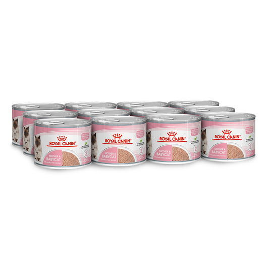ROYAL CANIN CAT WET MOTHER & BABY CAT (KITTEN) CAN 195gX12 PACK SLAB