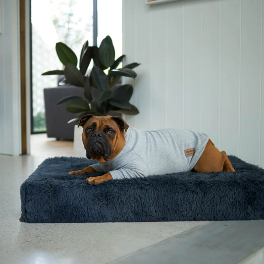 KAZOO COAT POOCH PAJAMAS GREY 59