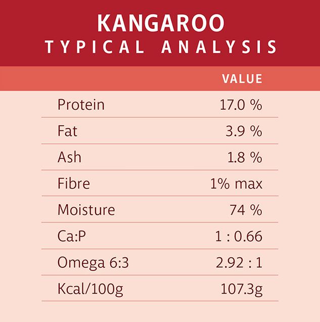 RAW 4 PAWS KANGAROO 8X200G PORTIONS 1.6KG