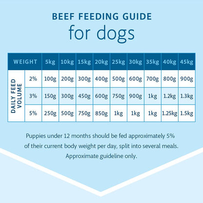 RAW 4 PAWS BEEF 1KG TUB