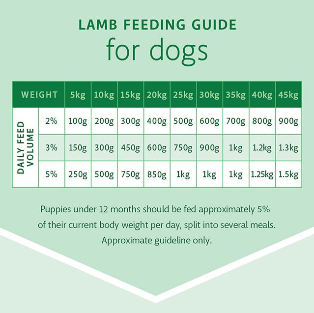 RAW 4 PAWS LAMB 1KG TUB