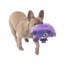 Load image into Gallery viewer, INDIE &amp; SCOUT PLUSH ROUND MONSTER TOY