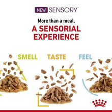 Load image into Gallery viewer, Pack of ROYAL CANIN CAT SENSORY FEEL GRAVY 85G X 12