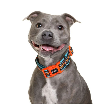 DOOG collar 'Beethovan'