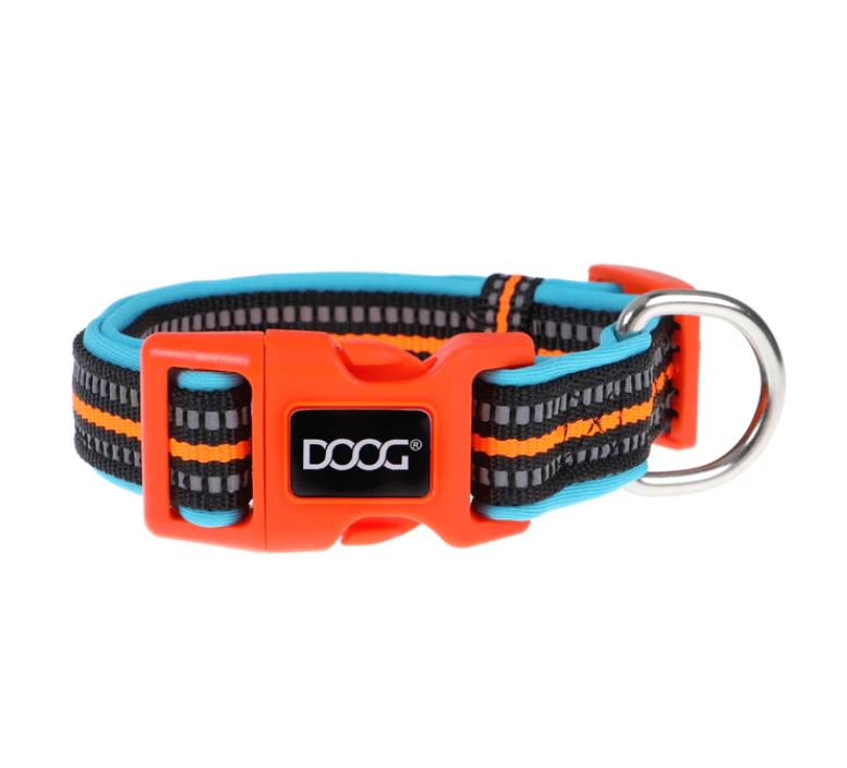 DOOG collar 'Beethovan'